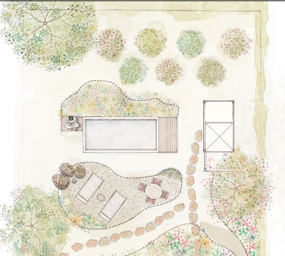 Part of a hand-painted planting plan around a pool: each plant drawn in its own watercolour mark