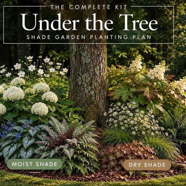 Cover of the plan: Around Trees, the complete kit
