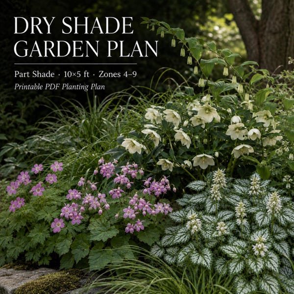 Cover of the plan: Dry Shade Border