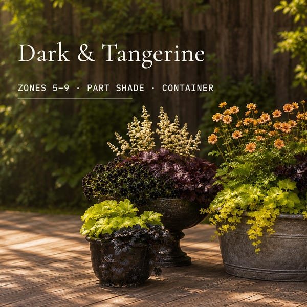 Cover of the plan: A Shaded Patio Corner