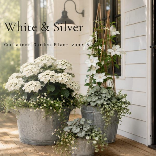 Cover of the plan: White & Silver Porch Pots