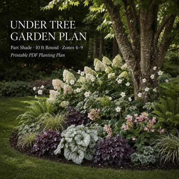 Cover of the plan: Under the Tree